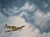 spitfire painting