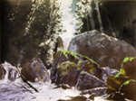 upper Dart River painting thumbnail